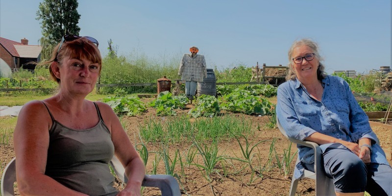 Sharon Andrea allotment 18 Jun